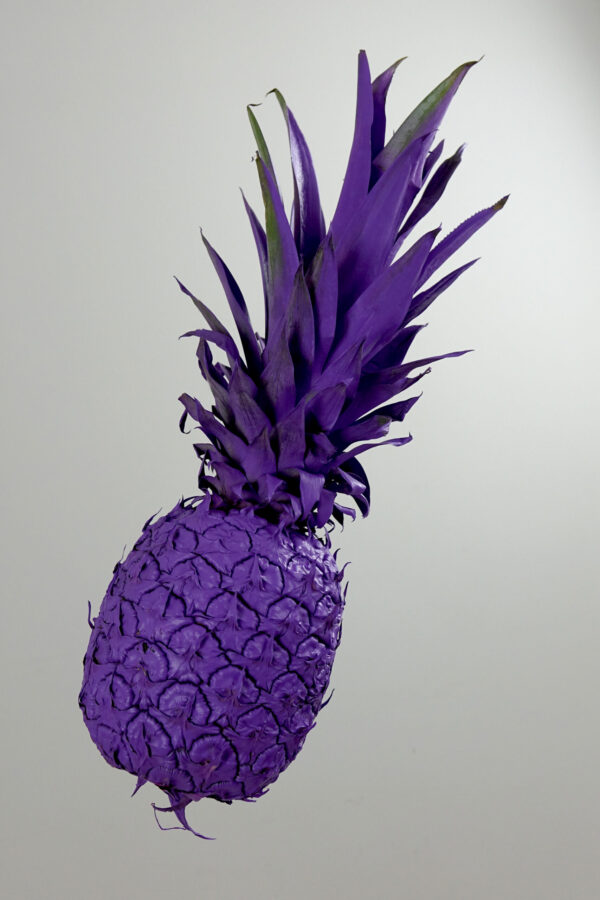 Pineapple in Purple #1 - Image 4