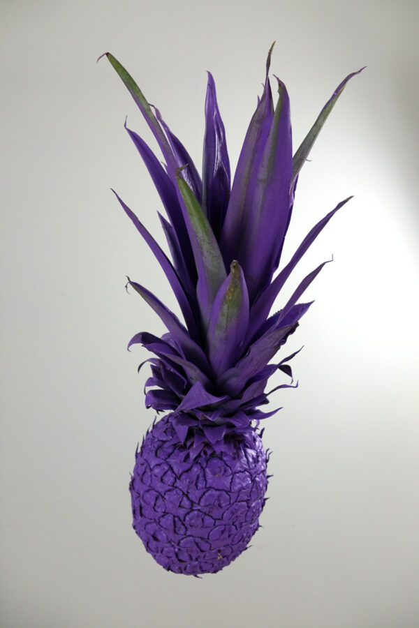 Pineapple in Purple #2 - Image 4