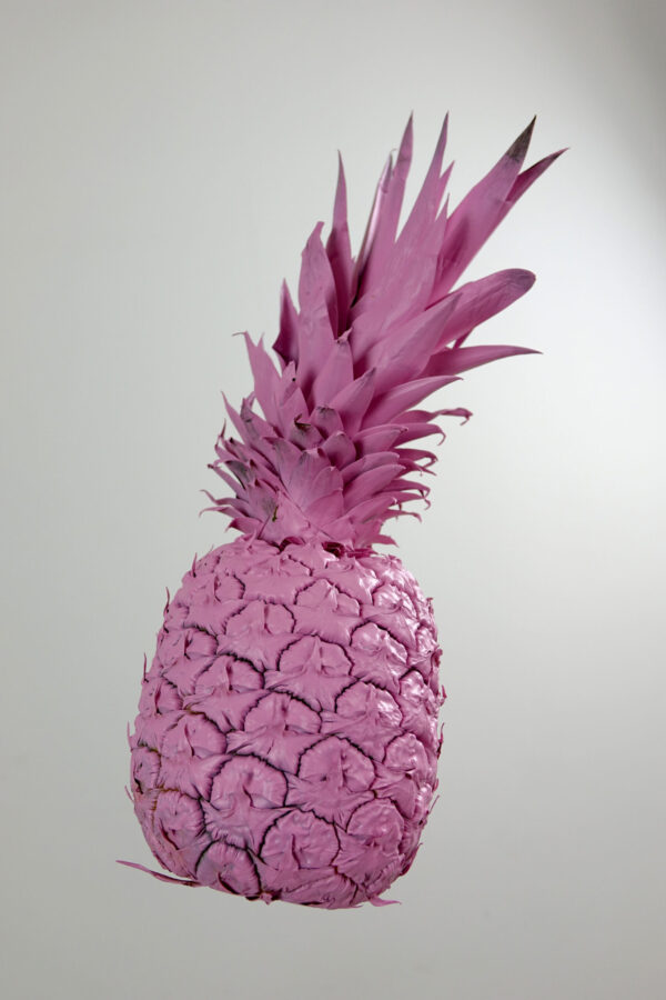 Pineapple in Rose #3 - Image 4