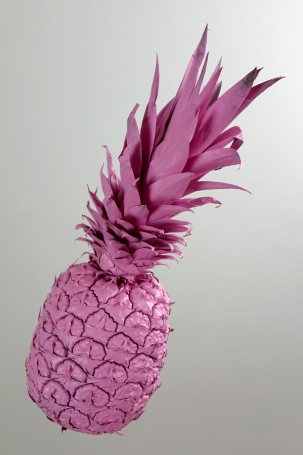 Pineapple in Rose #2 - Image 4