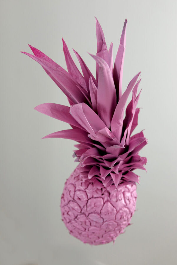 Pineapple in Rose #1 - Image 4